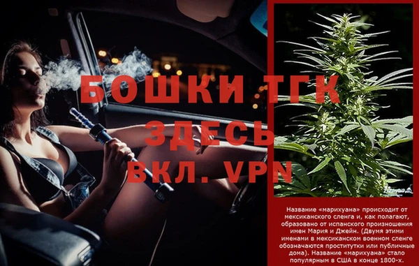 спайс Богданович