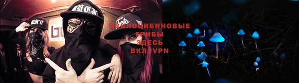 спайс Богданович