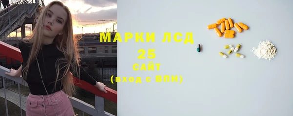 спайс Богданович